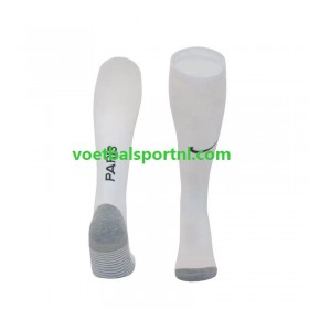 Paris Saint Germain Uit Sokken 2023-24